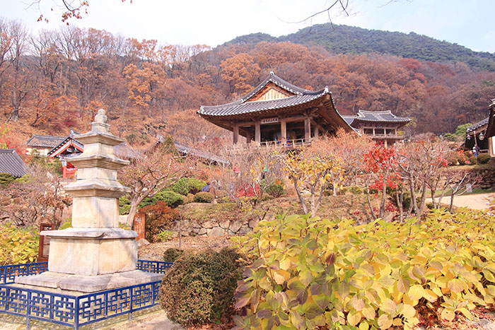  

The scenery around BuseoksaTemple is beautiful. 

